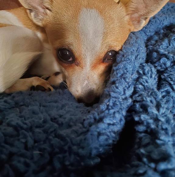 Meet your Posher, Tania - Picture 1 of 1